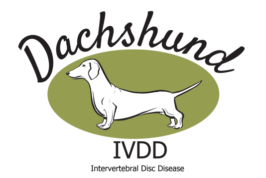 https://www.dachshund-ivdd.uk/s/misc/logo.png?t=1696418082